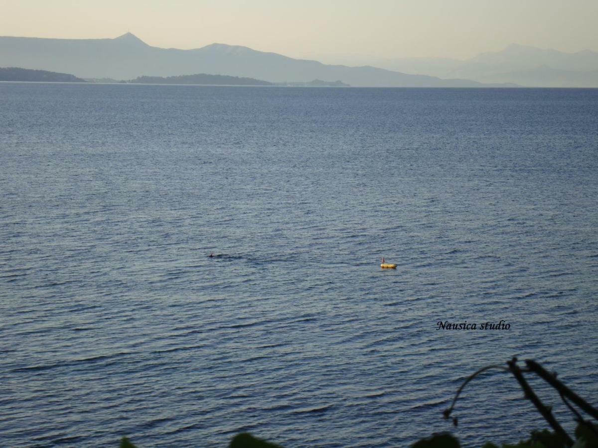Studio Nausica... A Sense Of Paradise! Agia Pelagia Chlomou 외부 사진