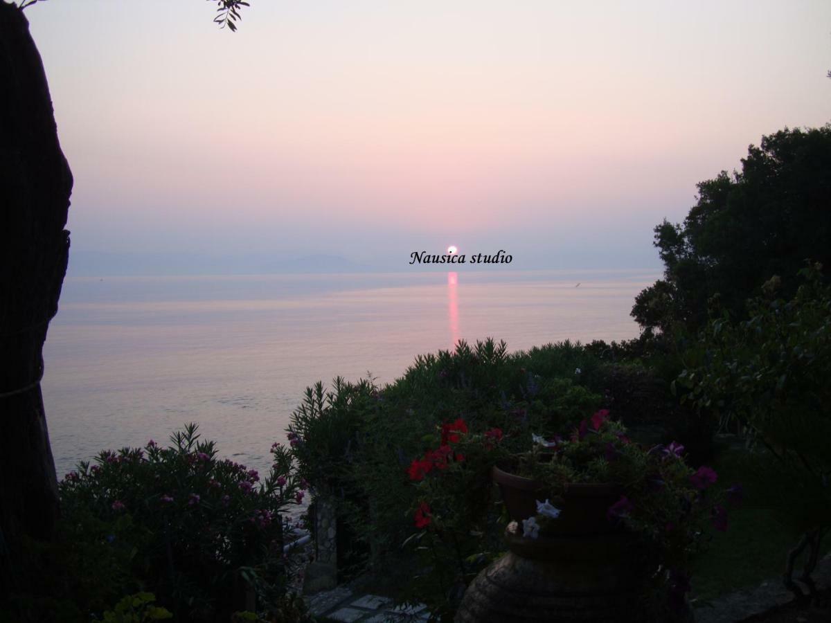 Studio Nausica... A Sense Of Paradise! Agia Pelagia Chlomou 외부 사진