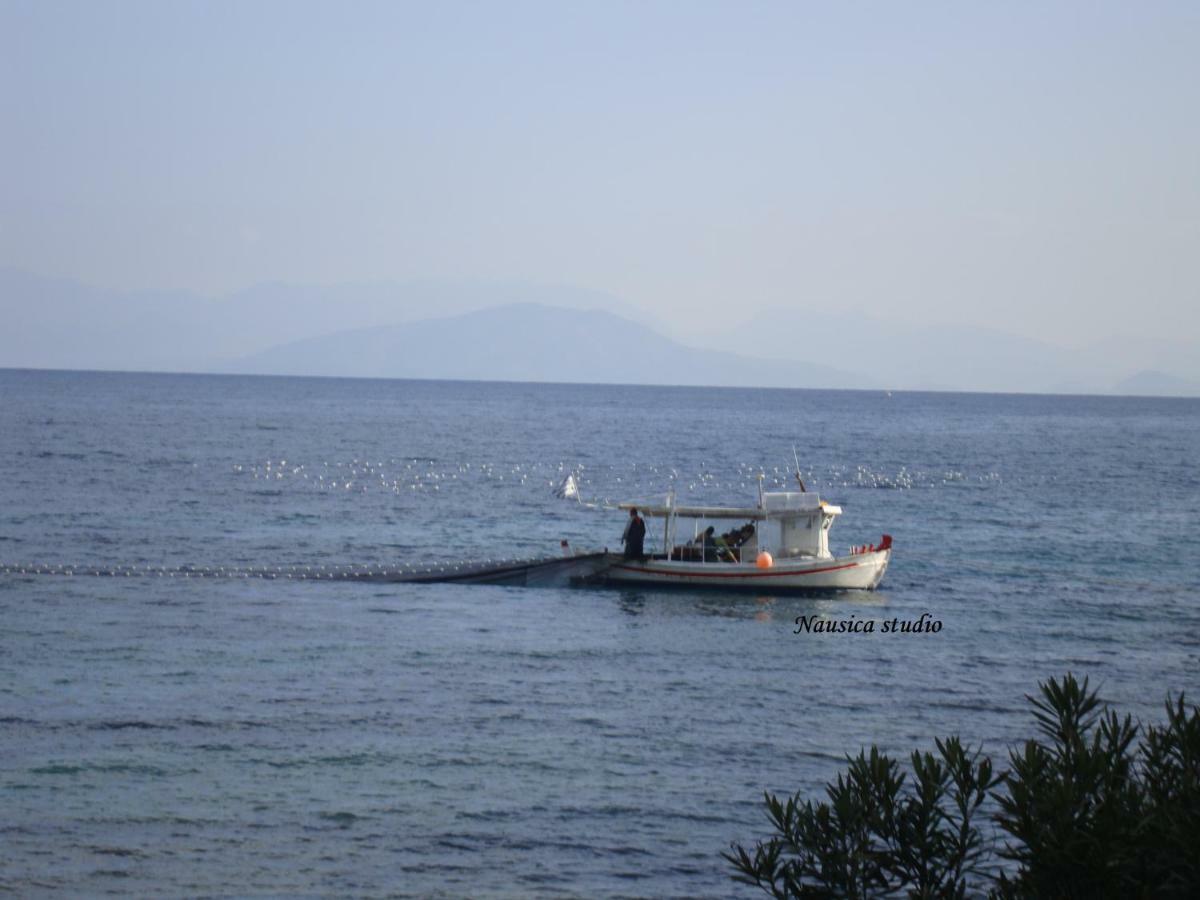 Studio Nausica... A Sense Of Paradise! Agia Pelagia Chlomou 외부 사진