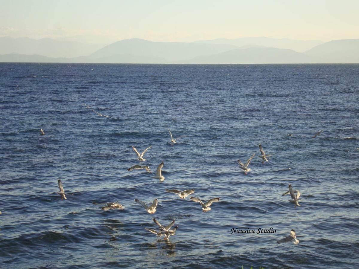 Studio Nausica... A Sense Of Paradise! Agia Pelagia Chlomou 외부 사진